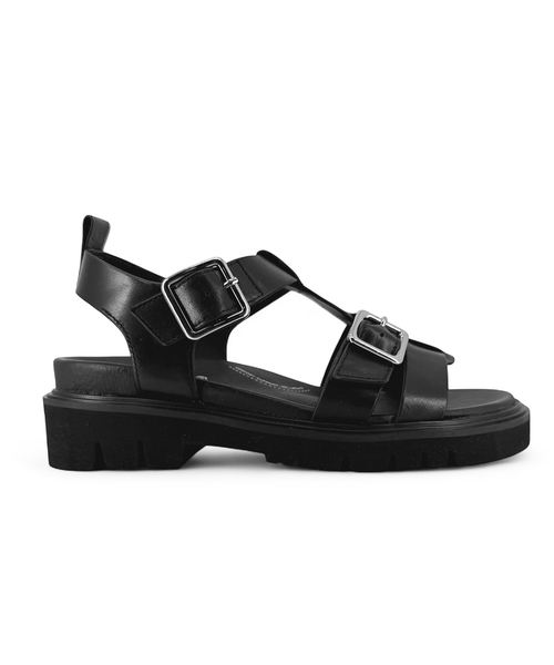 Charlie Rose Stering