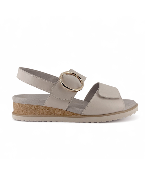 Charlie Rose Scottie