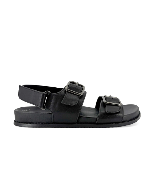 CHarlie Rose Sheldons