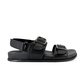 CHarlie Rose Sheldons